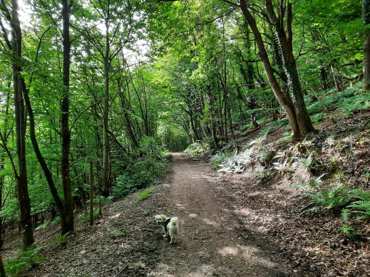 Biggi Διαμέρισμα Trittenheim Εξωτερικό φωτογραφία