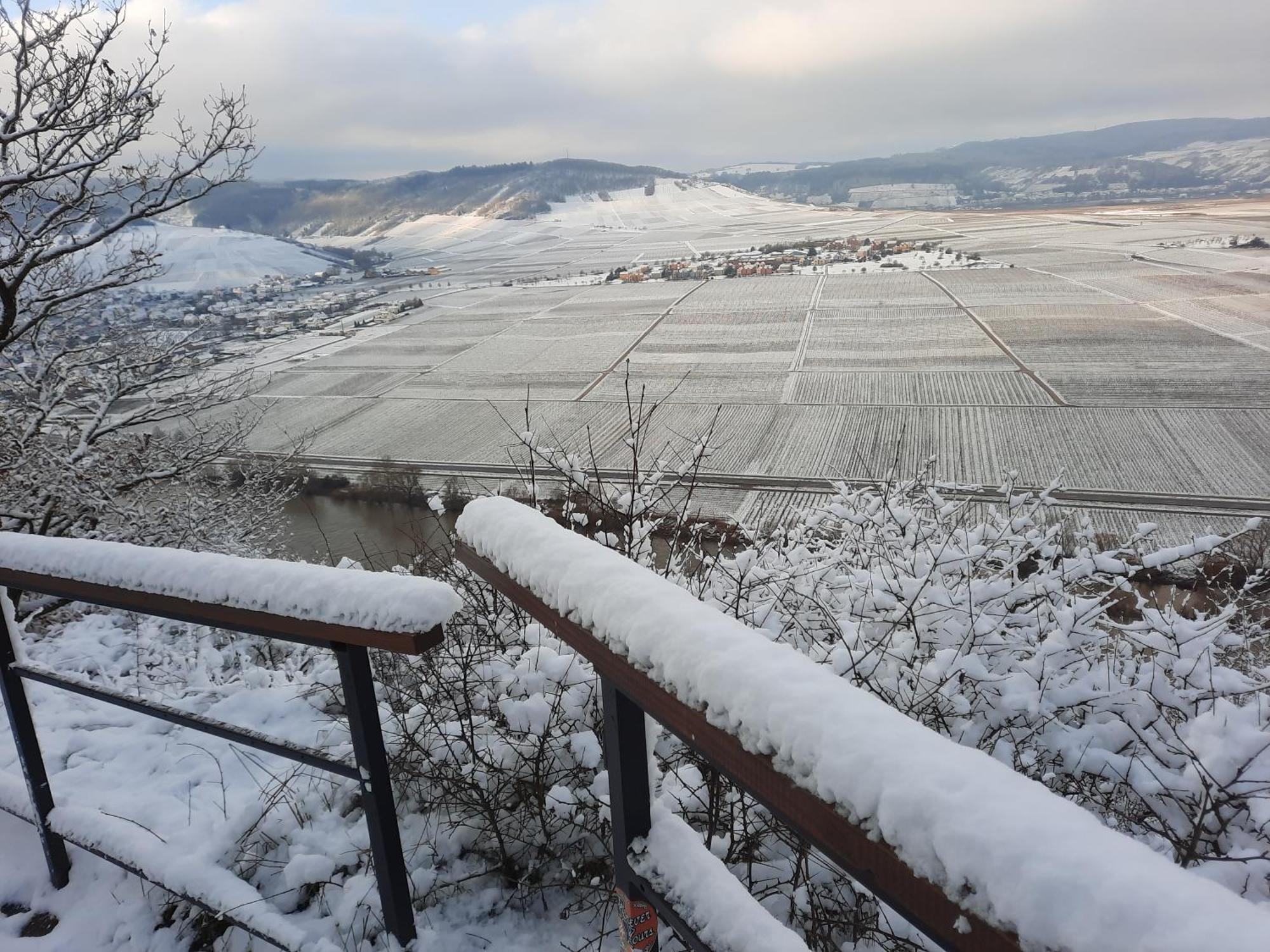 Biggi Διαμέρισμα Trittenheim Εξωτερικό φωτογραφία